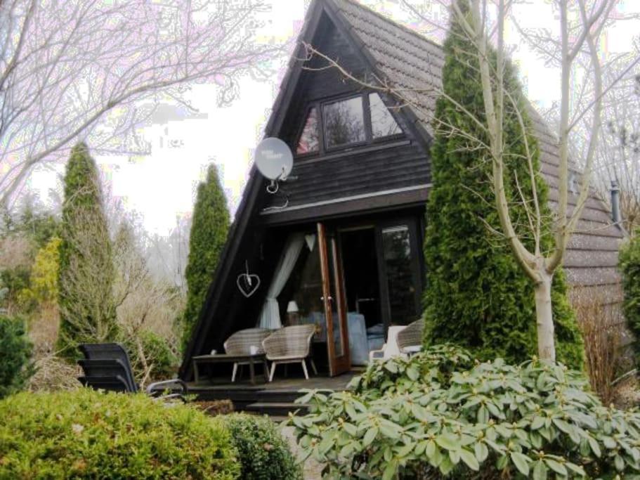Nurdachhaus Mit Kaminofen Und Grossem Grundstueck Villa Faßberg Екстериор снимка